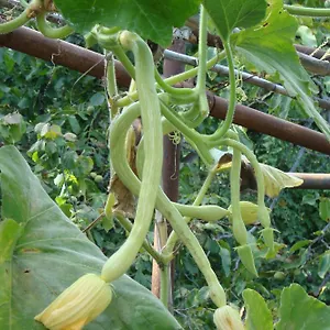 I Girasoli Apartmán Ventimiglia